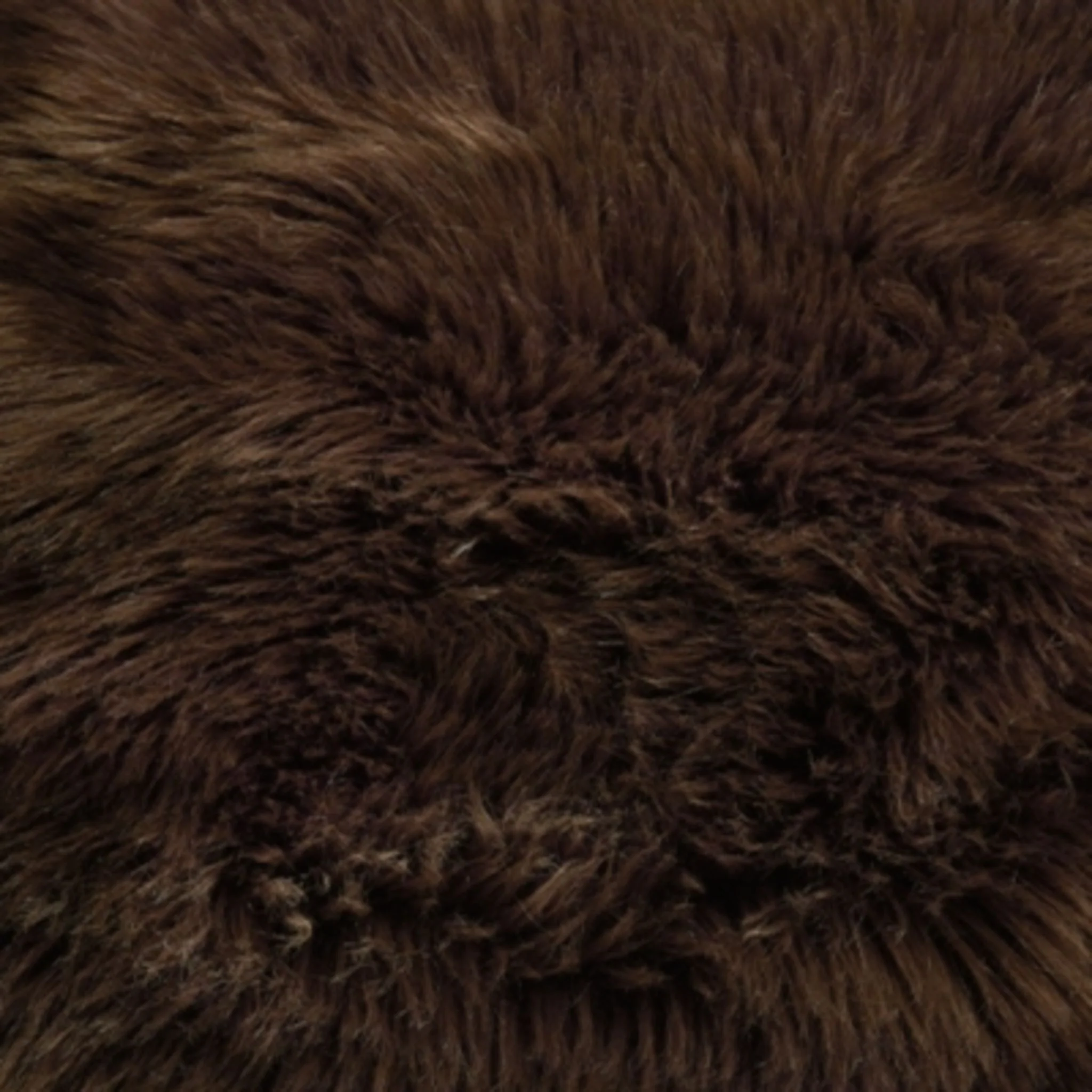 Bellethrone Accent Pillow 20.00" - Image 5