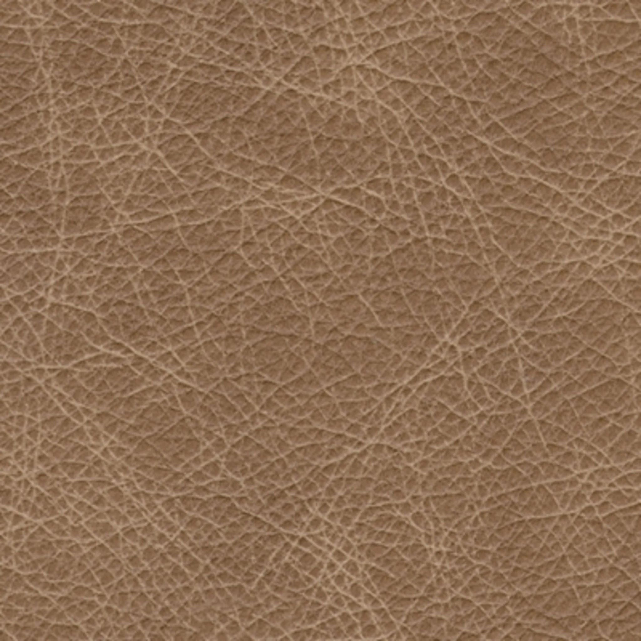 Bradney Swivel Chair - Image 12