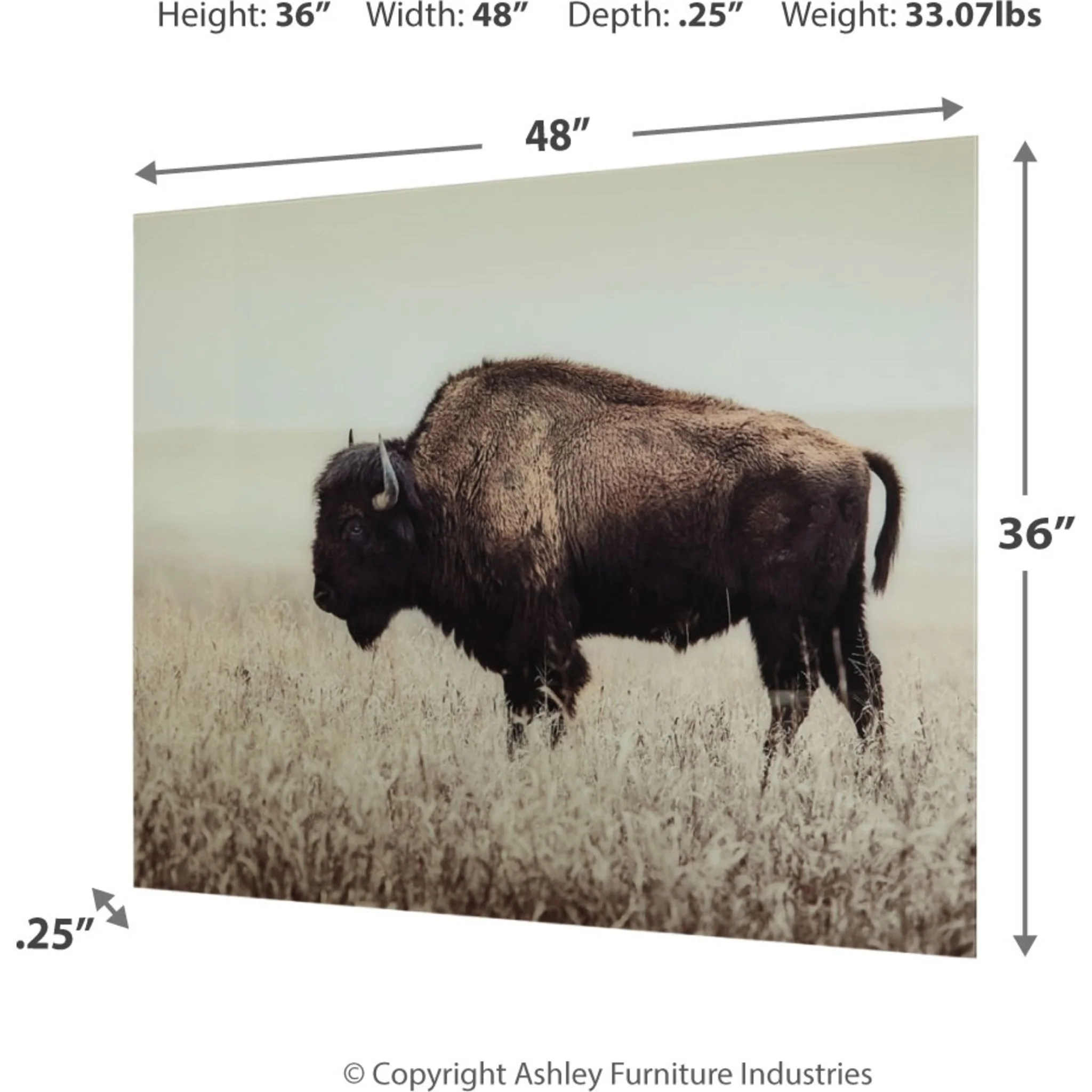Brutus Wall Art 48.00" x 36.00" - Image 3