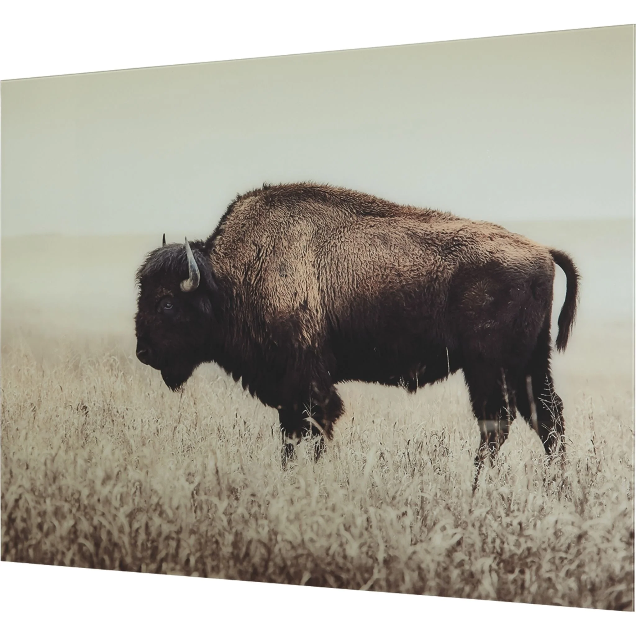 Brutus Wall Art 48.00" x 36.00" - Image 4