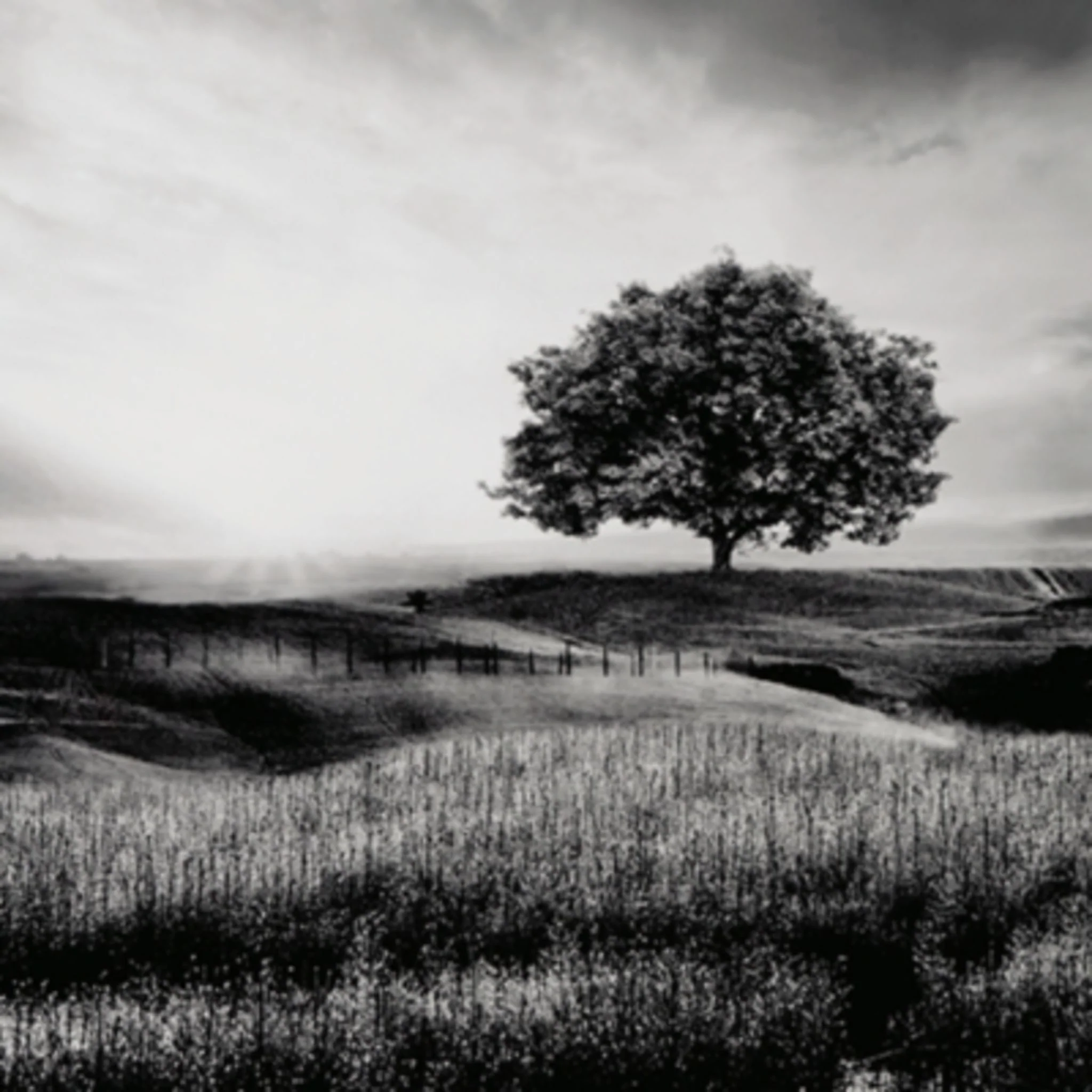 Deborland Wall Art 86.60" x 46.50" - Image 5