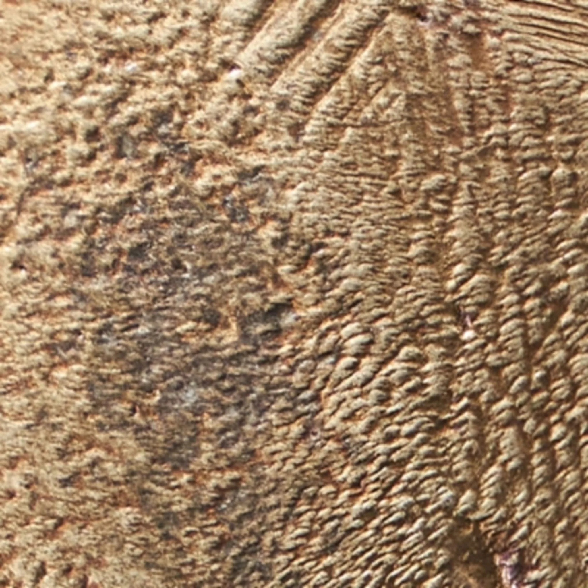 Dunnruck Sculpture - Image 7