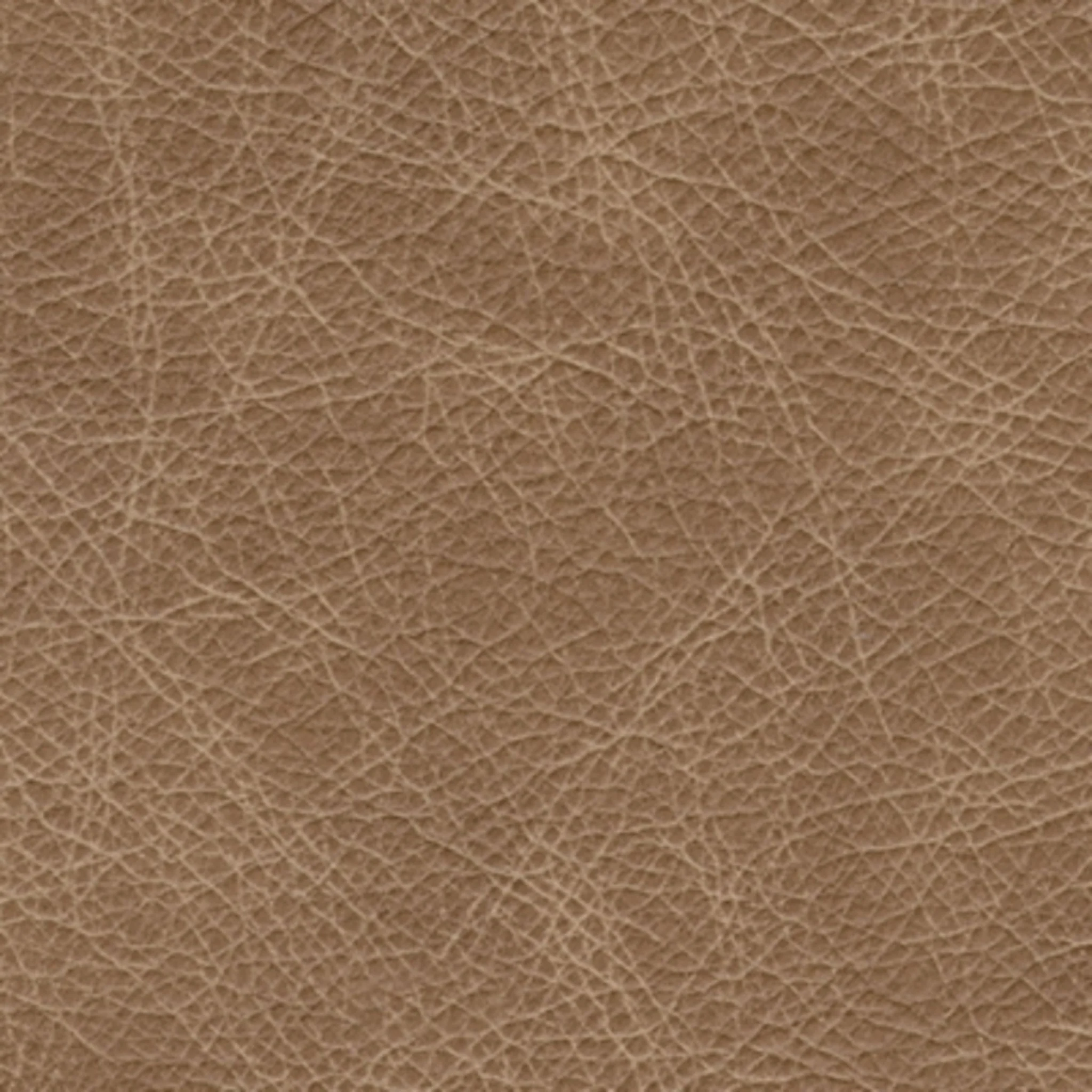 Lombardia Loveseat - Tumbleweed - Image 8
