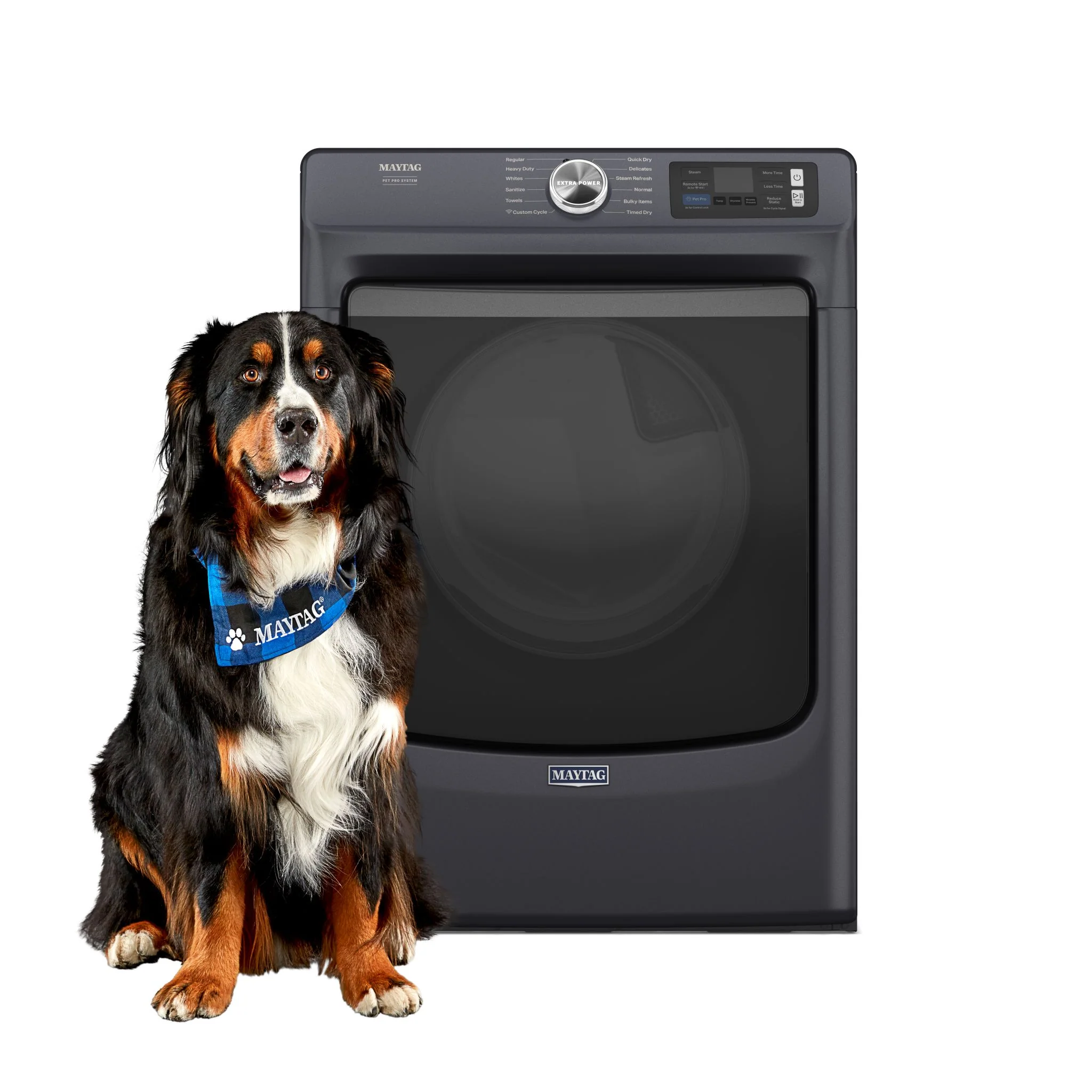 Maytag Smart Pet Pro Front Load Electric Dryer - 7.4 CU. FT. -Midnight Steel (YMED7020RF) - Image 2