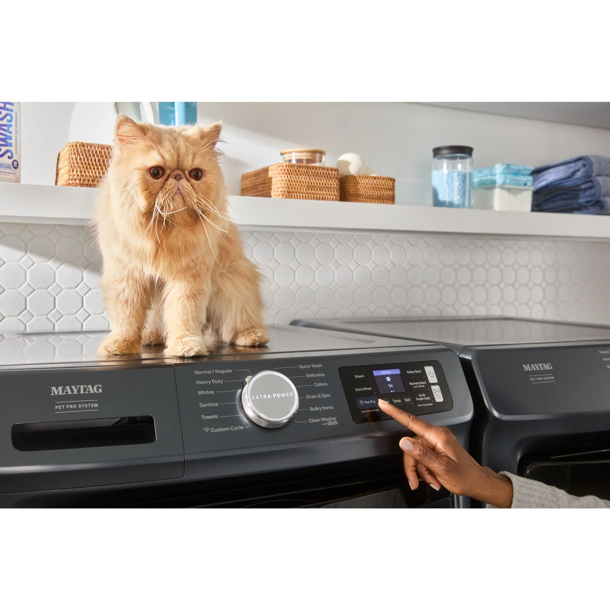 Maytag Front Load Pair (Pet Pro) (MFW7020RF-YMED7020RF) - Midnight Steel - Image 2