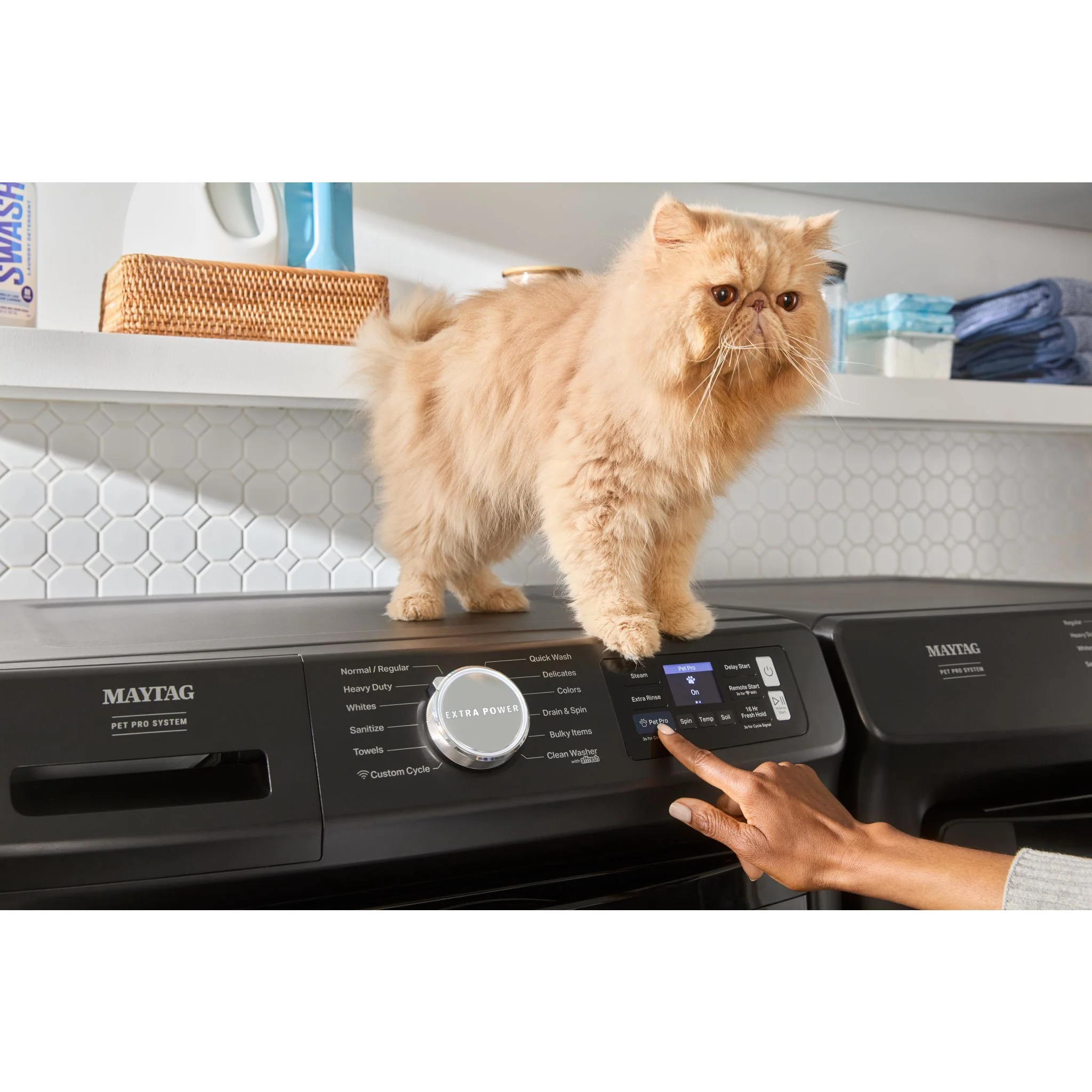 Maytag Smart Pet Pro Front Load Washer - 5.8 CU. FT. (I.E.C.) -Volcano Black (MFW7020RU) - Image 7