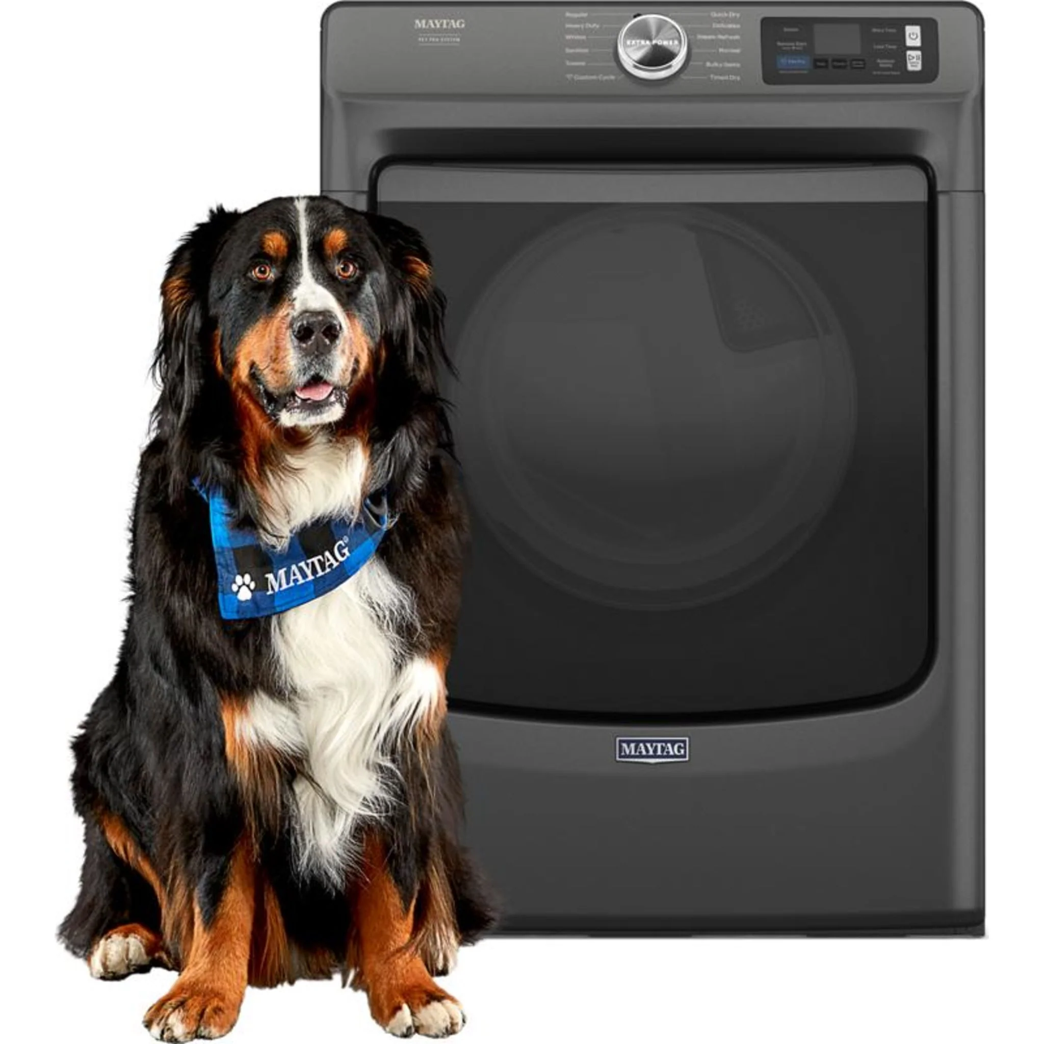 Maytag Smart Pet Pro Front Load Electric Dryer - 7.4 CU. FT. -White (YMED7020RW) - Image 62