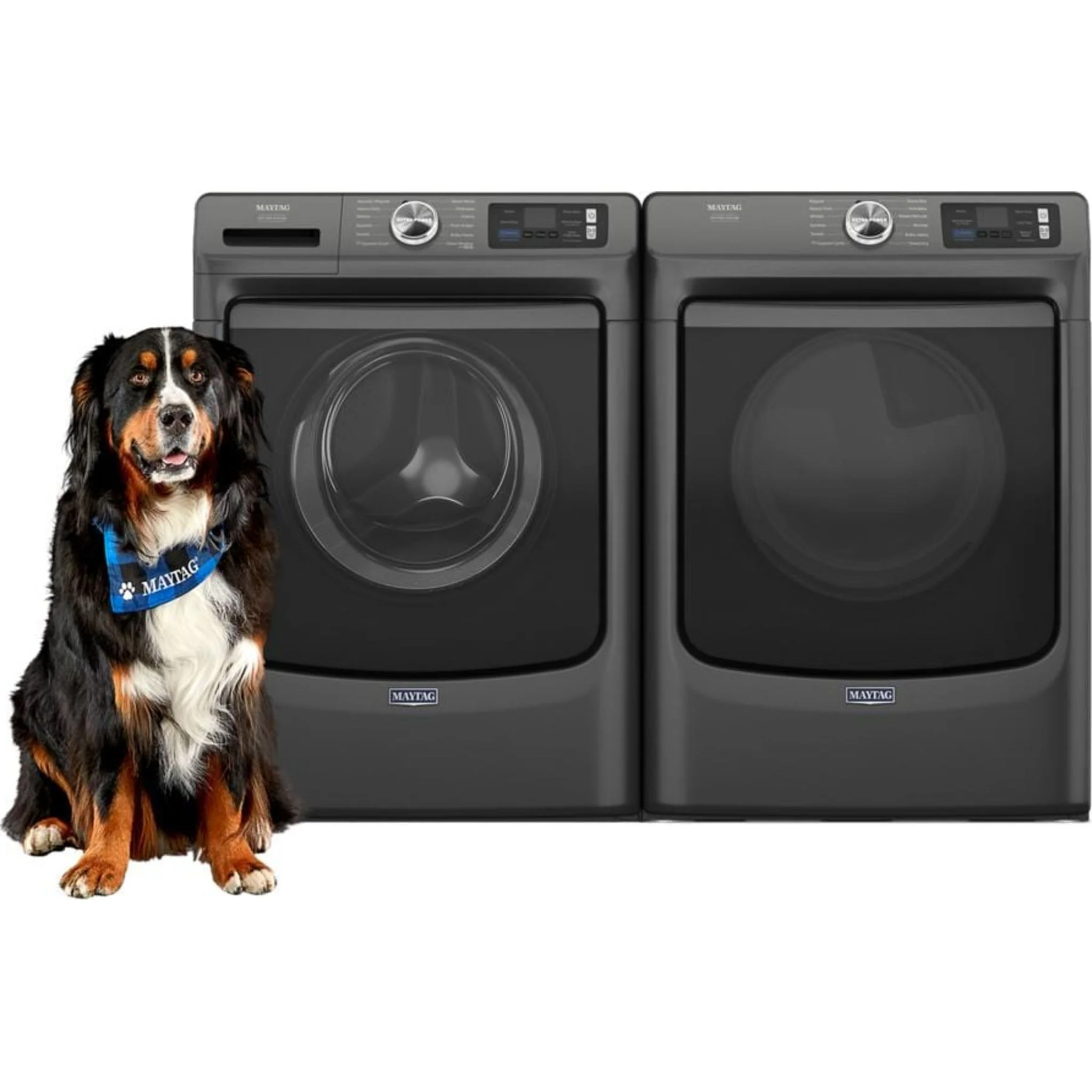 Maytag Smart Pet Pro Front Load Electric Dryer - 7.4 CU. FT. -White (YMED7020RW) - Image 66