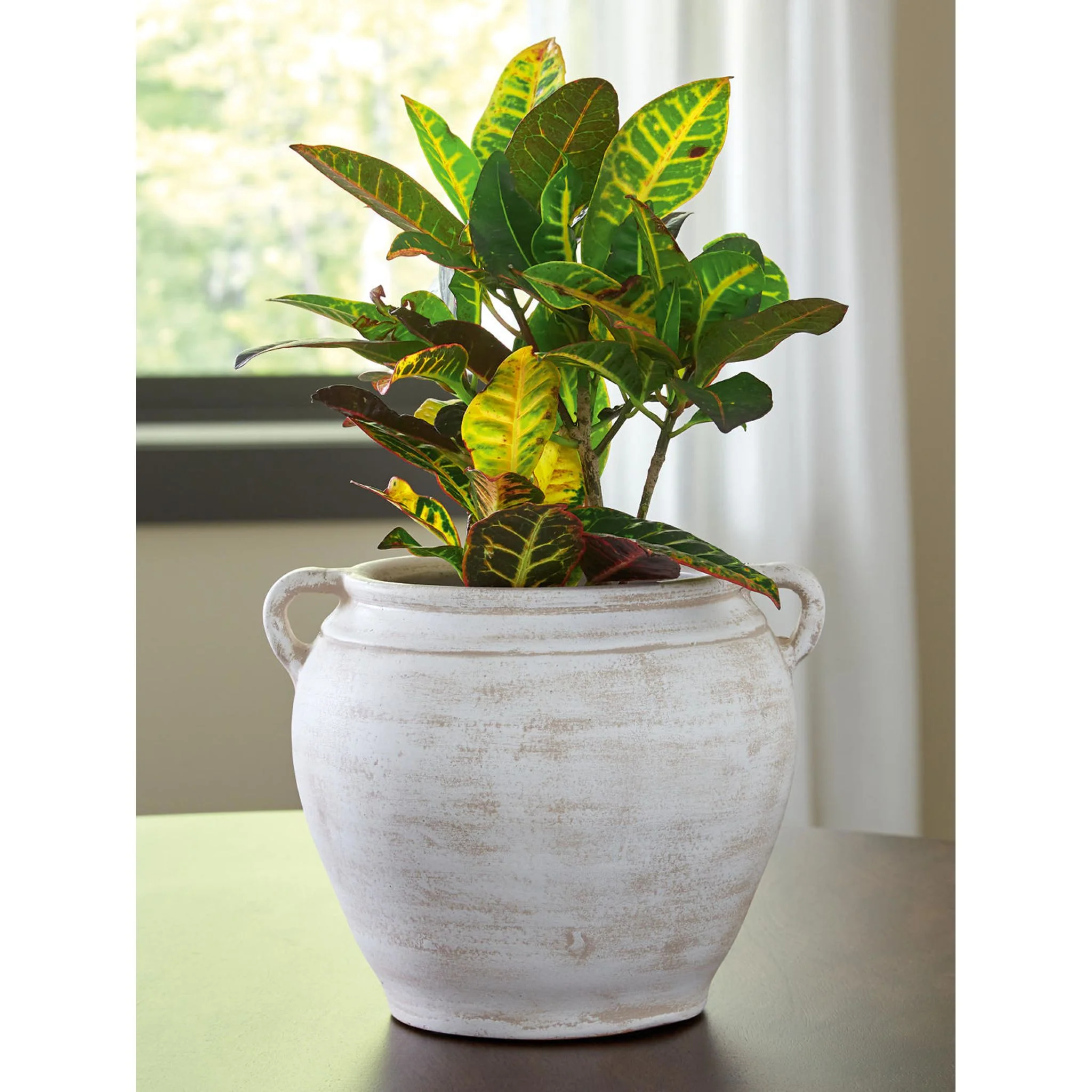 Meadie Vase - Image 2
