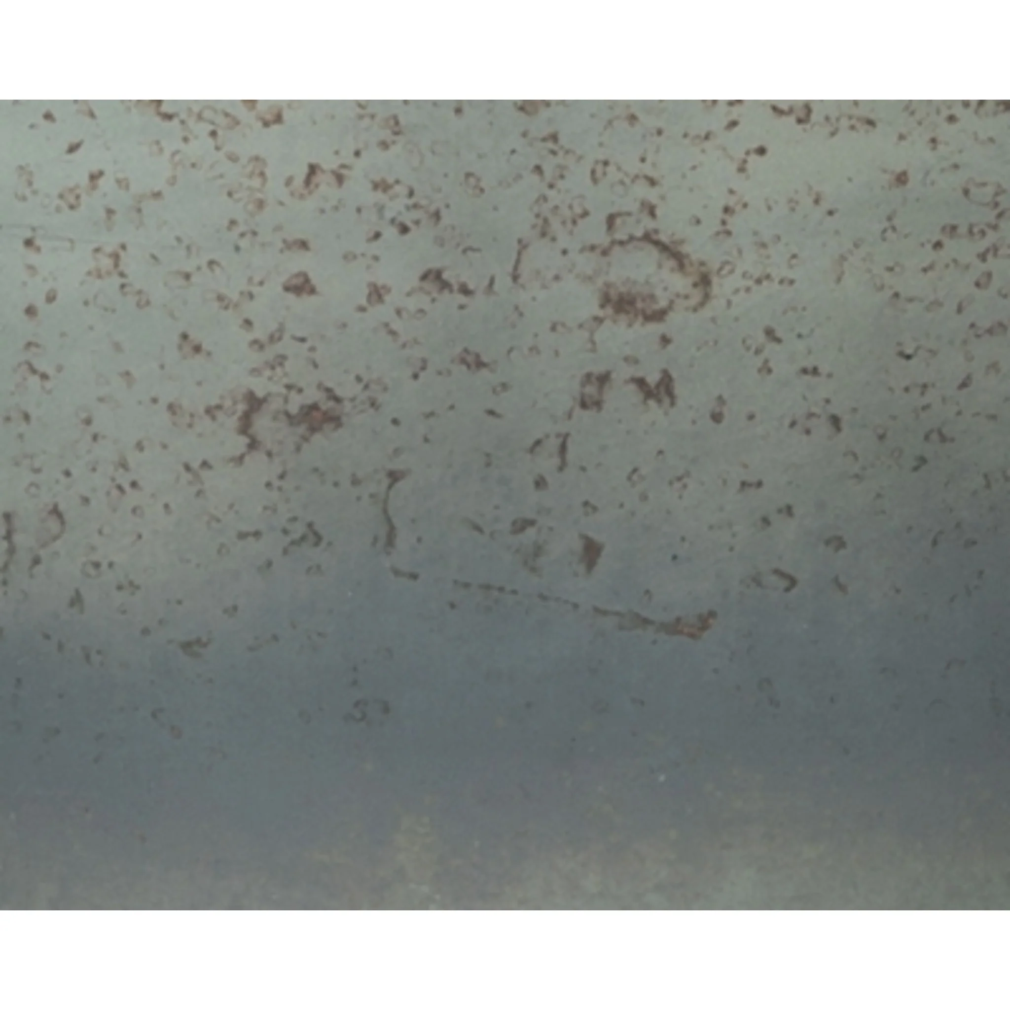 Pennmore Vase - Image 7