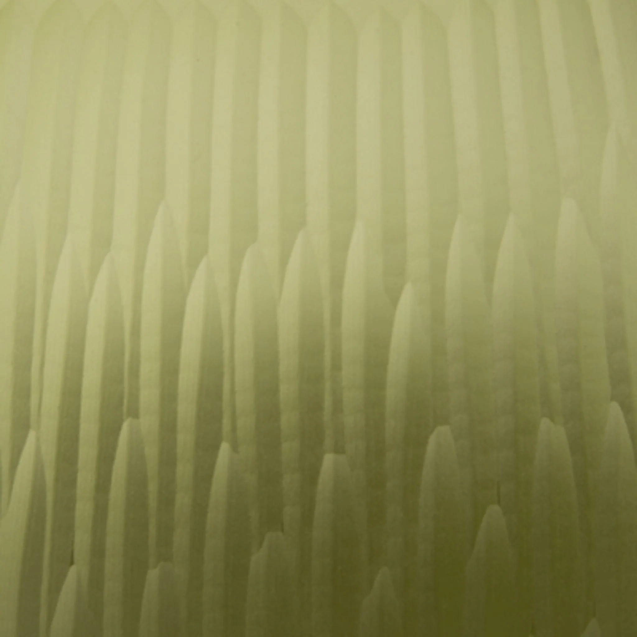Scottyard Vase - Image 4