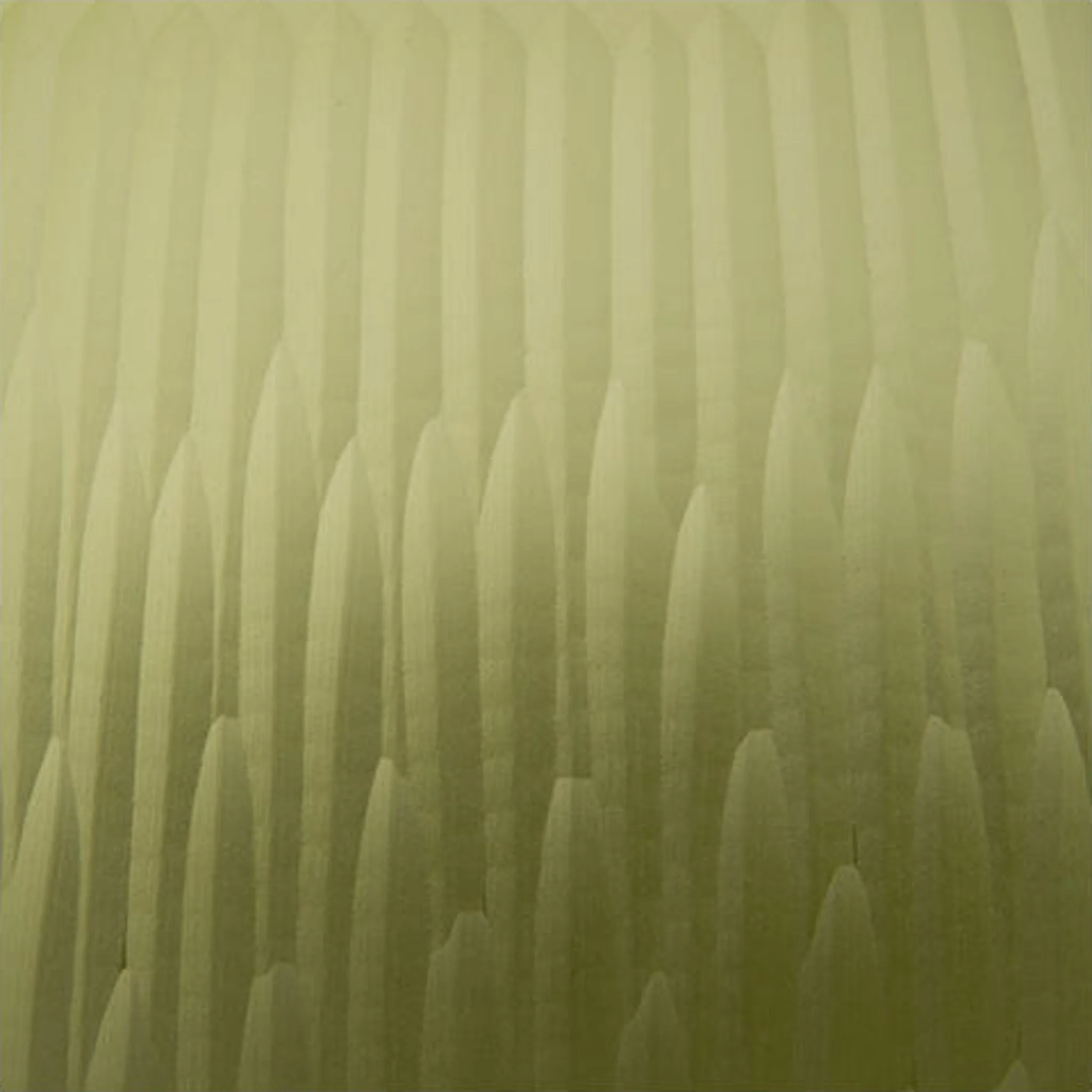 Scottyard Vase - Image 5